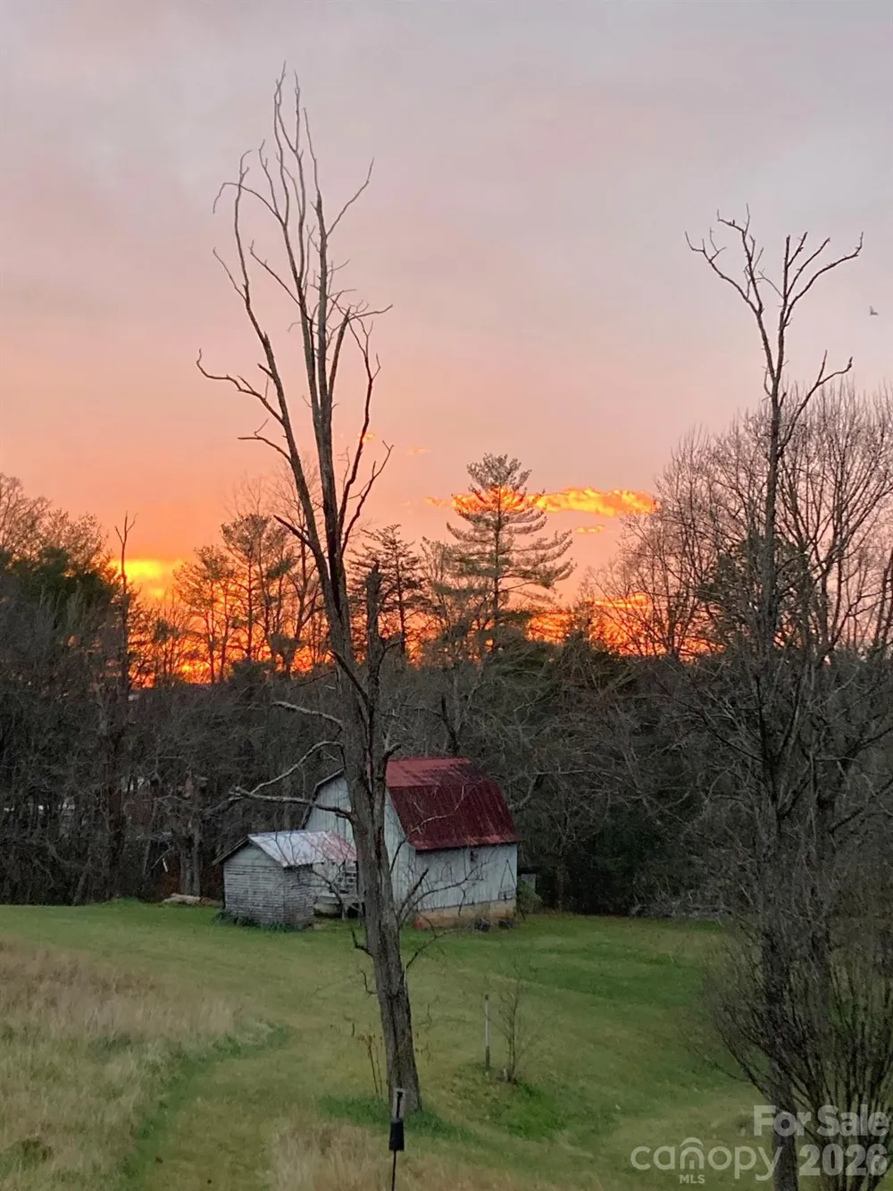 117 Woods View Trail Fairview, NC 28730