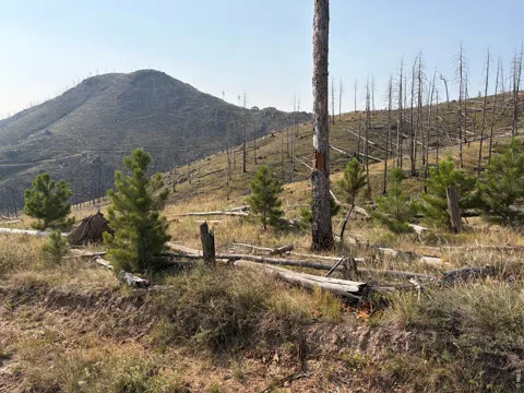 0 Pine Acres Road