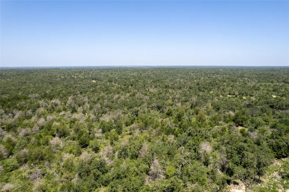 Pr 613 Kosse, TX 76653
