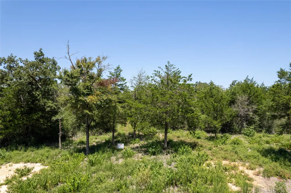 Pr 613 Kosse, TX 76653