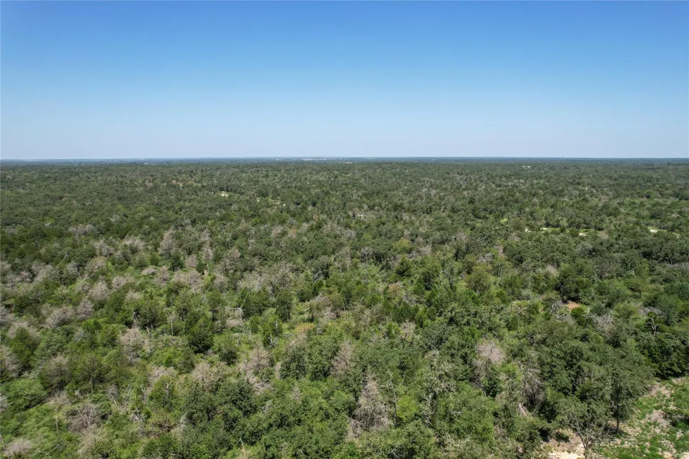 Pr 613 Kosse, TX 76653