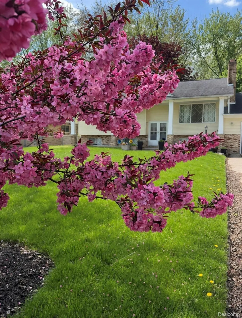 38185 Willowmere Street Harrison Charter Township, MI 48045