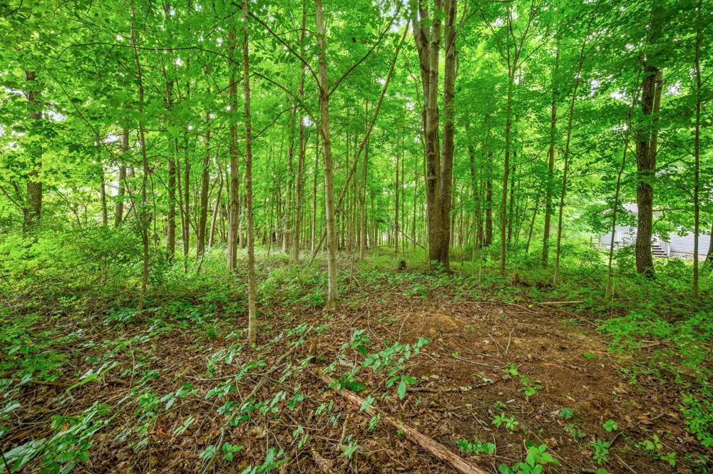 55704 Penn Road Cassopolis, MI 49031