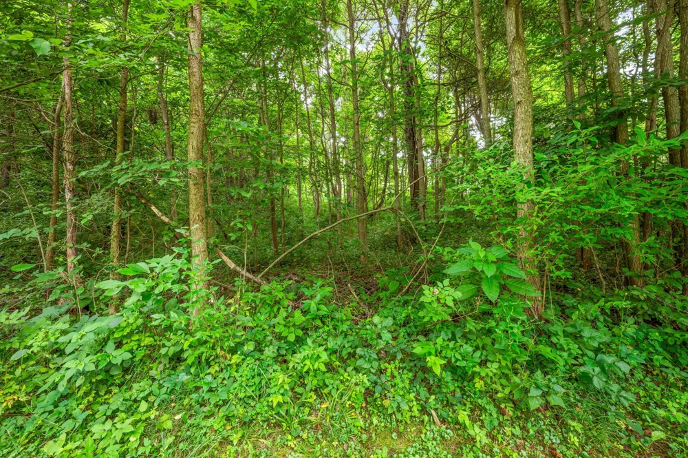 55704 Penn Road Cassopolis, MI 49031