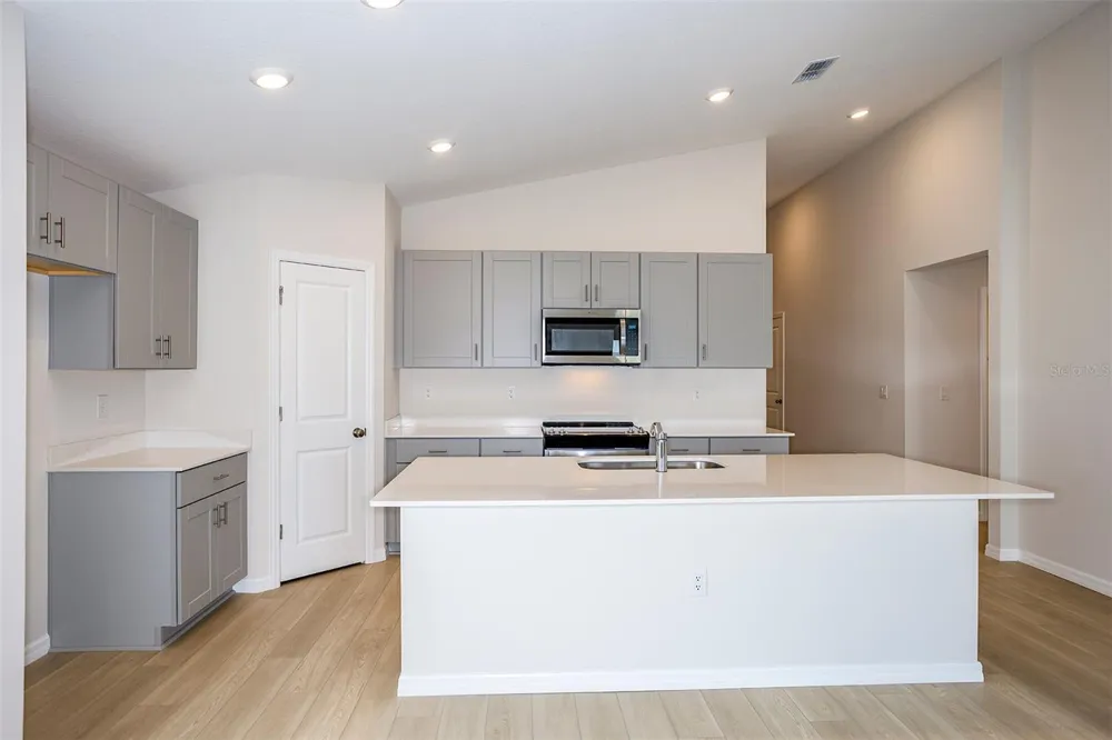 31702 OYSTER TRELLIS LANE Wesley Chapel, FL 33545
