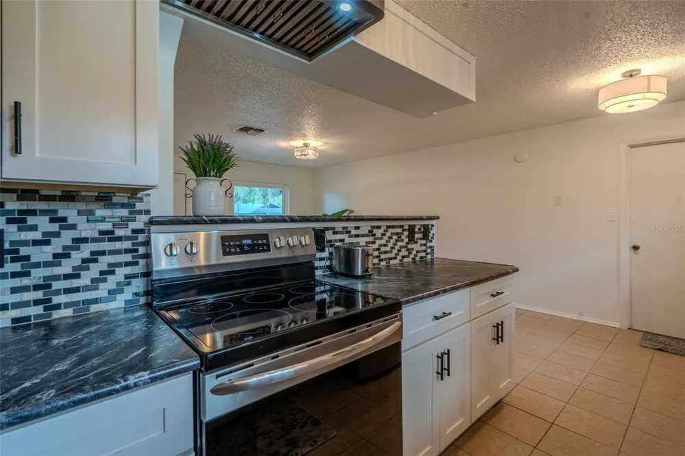 1049 BIRCH BOULEVARD Tavares, FL 32778