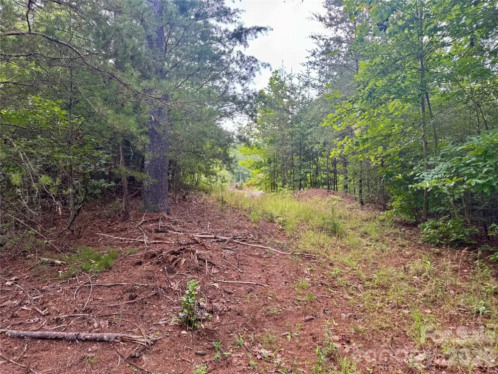 Lot 126 & Lot 127A Sunset Creek Lane #126 & 127A Lenoir, NC 28645