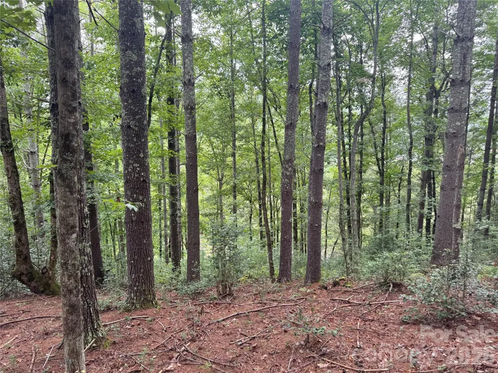 Lot 126 & Lot 127A Sunset Creek Lane #126 & 127A Lenoir, NC 28645