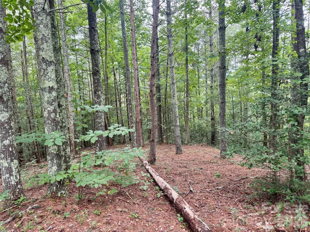 Lot 126 & Lot 127A Sunset Creek Lane #126 & 127A Lenoir, NC 28645