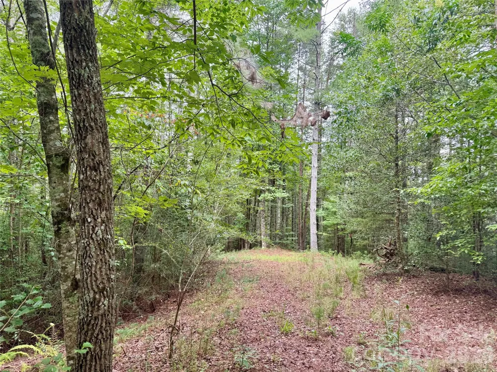 Lot 126 & Lot 127A Sunset Creek Lane #126 & 127A Lenoir, NC 28645