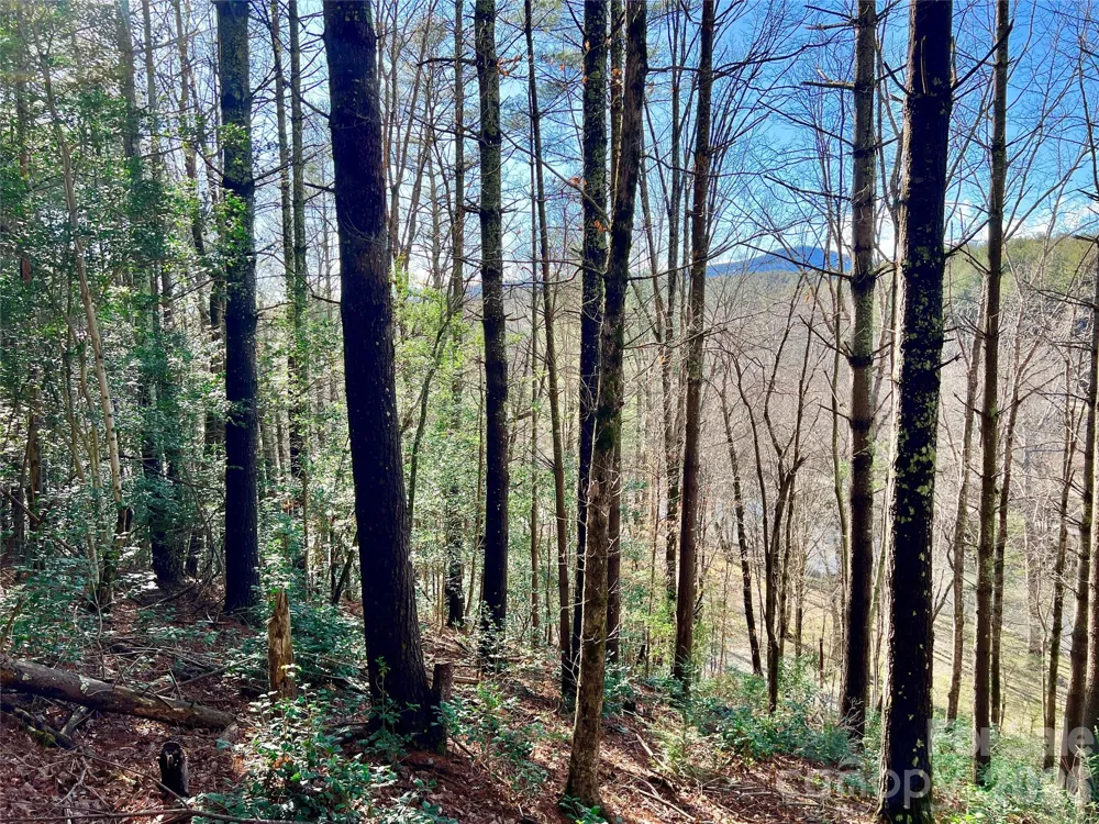 Lot 126 & Lot 127A Sunset Creek Lane #126 & 127A Lenoir, NC 28645