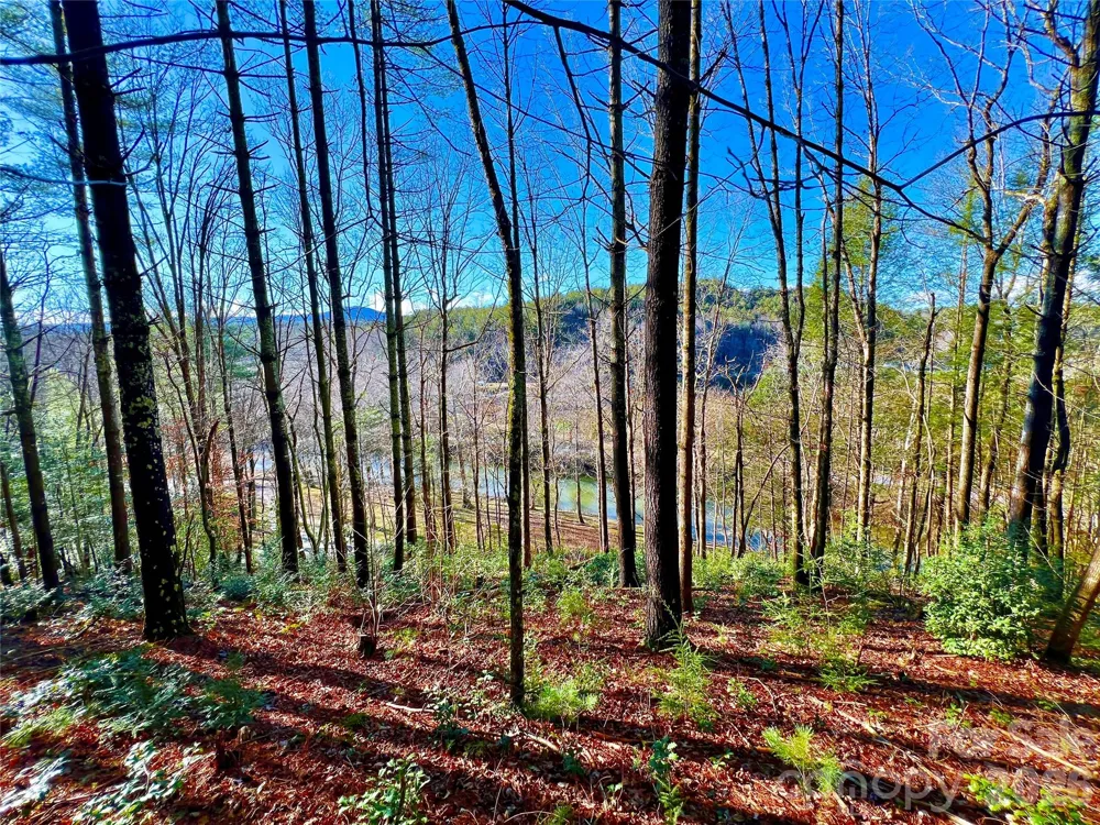 Lot 126 & Lot 127A Sunset Creek Lane #126 & 127A Lenoir, NC 28645