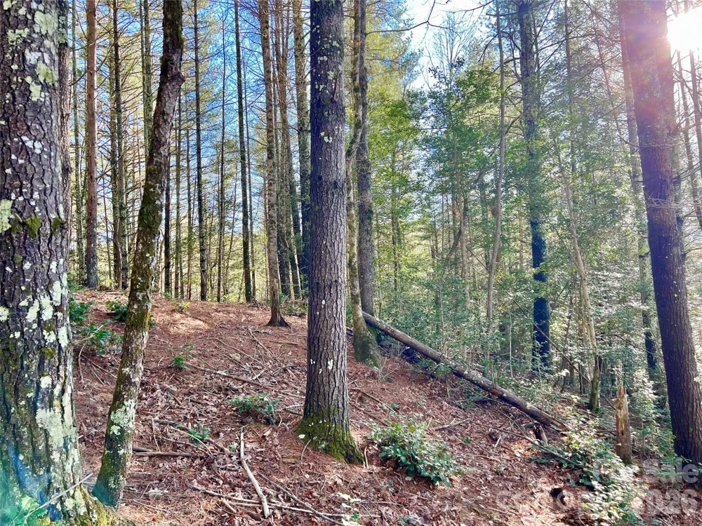 Lot 126 & Lot 127A Sunset Creek Lane #126 & 127A Lenoir, NC 28645