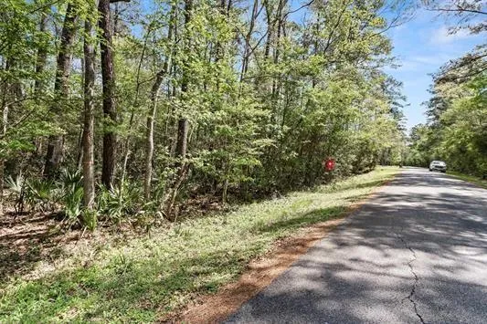 Lakeview Drive Sour Lake, TX 77659