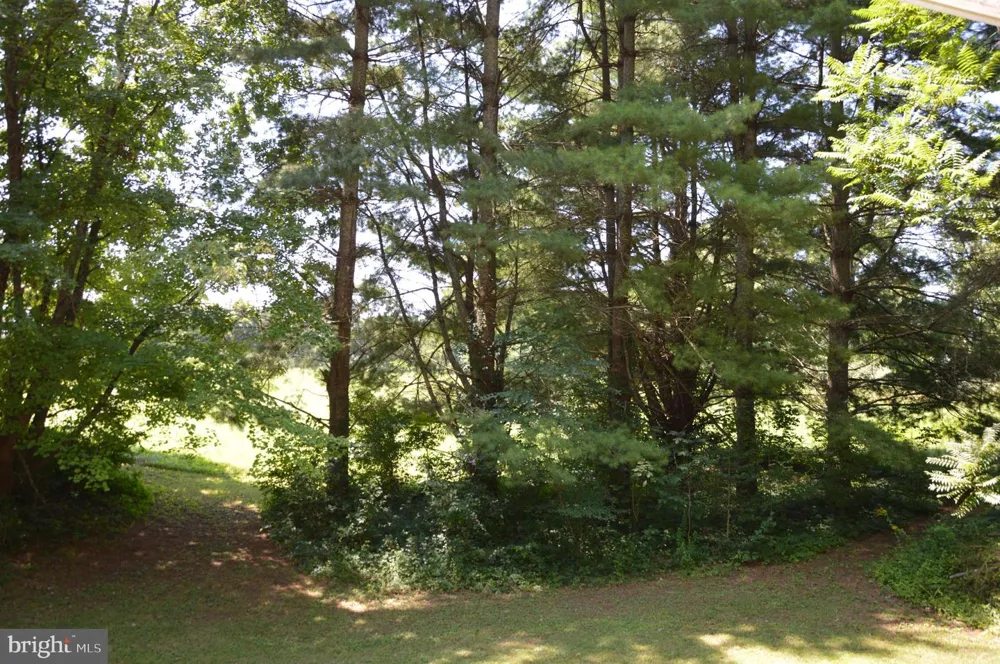 12368 RIXEYVILLE ROAD Culpeper, VA 22701