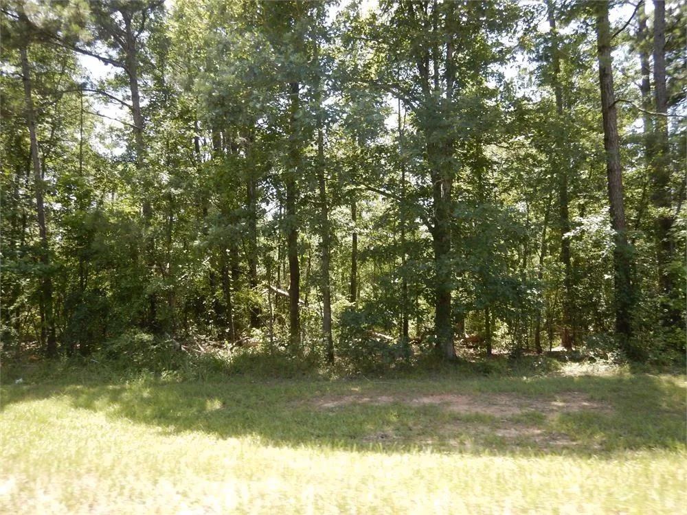 2771 Carey Station Rd Street Greensboro, GA 30043