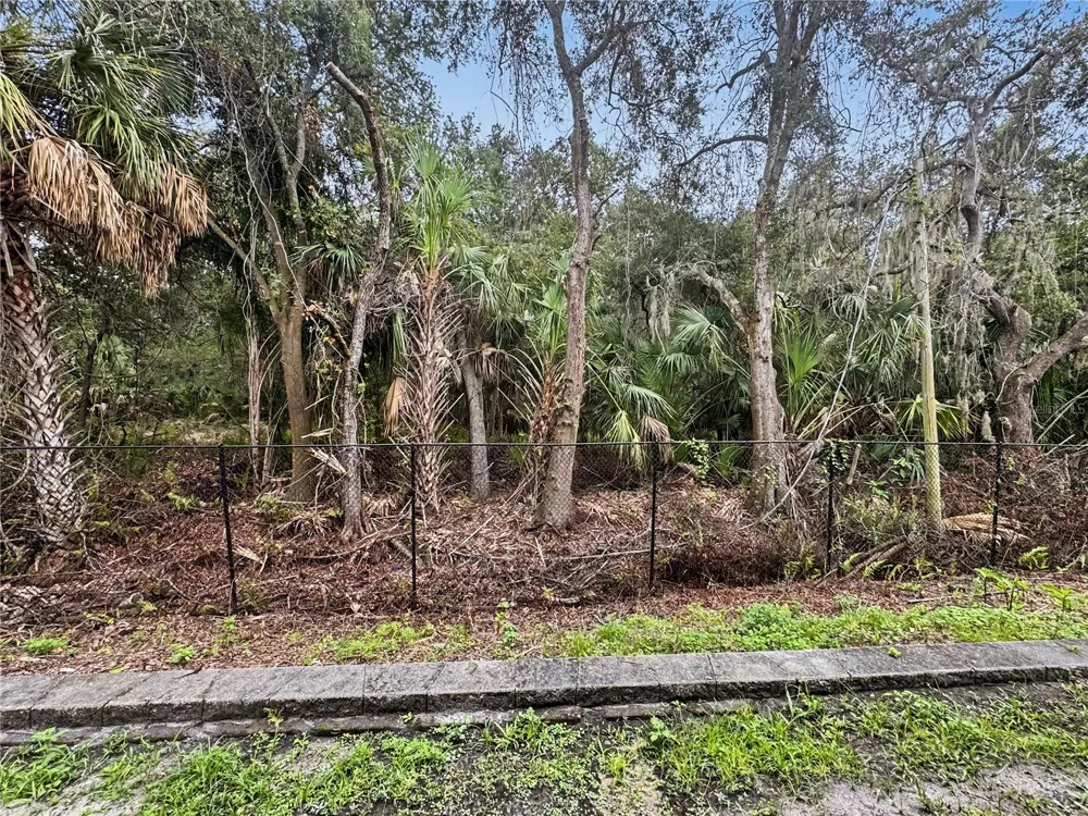 4842 CHATTERTON WAY Riverview, FL 33578