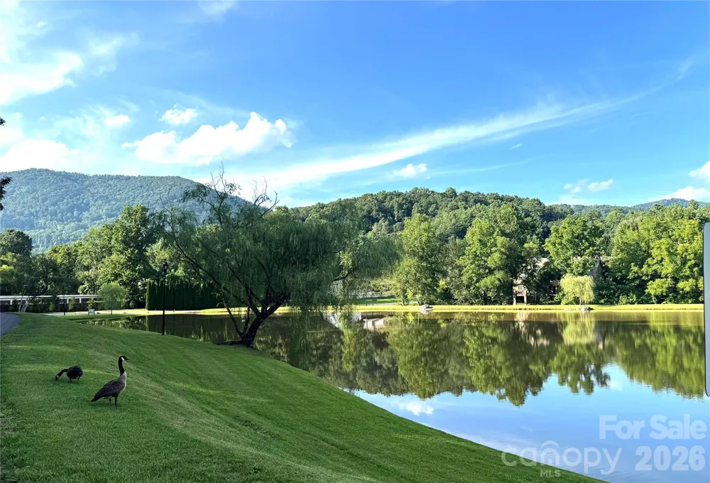 8 Lakeview Drive Fairview, NC 28730