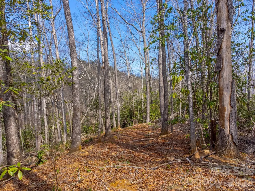 254 Ivory Lane Sylva, NC 28779