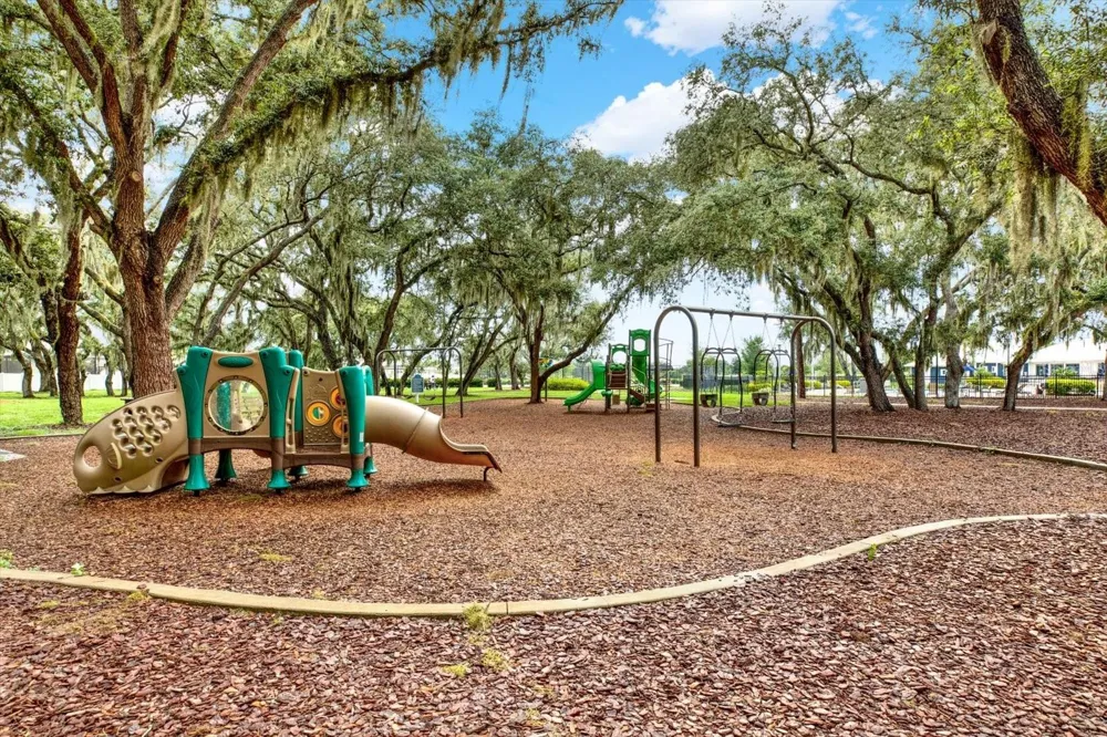 12813 WILDFLOWER MEADOW DRIVE Riverview, FL 33579