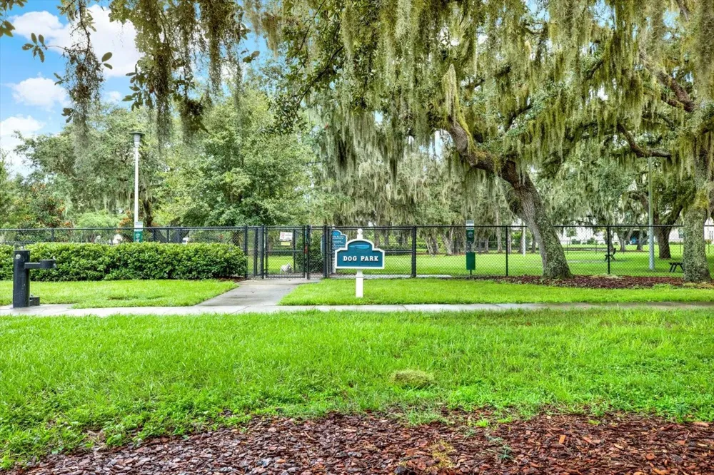 12813 WILDFLOWER MEADOW DRIVE Riverview, FL 33579