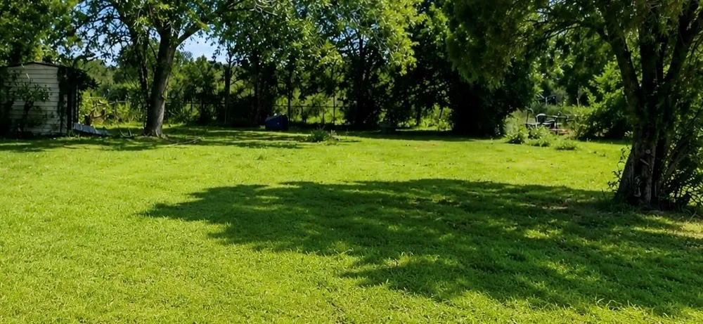 202 Moore Street Hallettsville, TX 77964