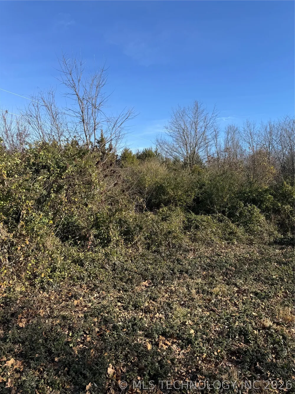 908 W Osage Jay, OK 74346