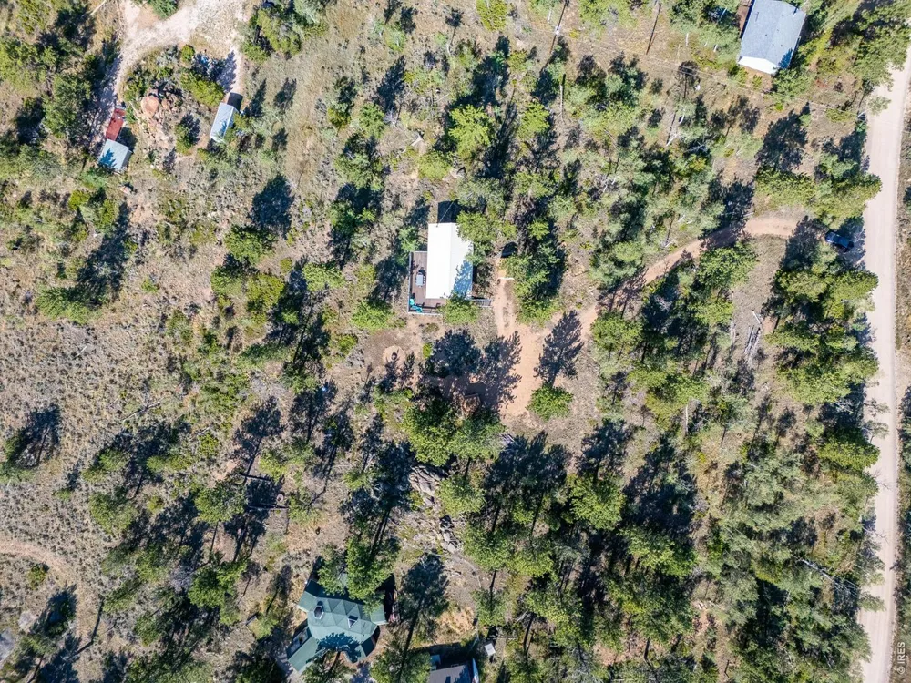 6424 Ottawa Way Red Feather Lakes, CO 80545