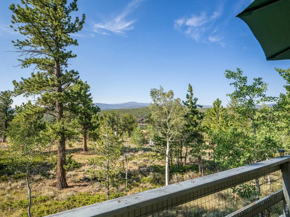 6424 Ottawa Way Red Feather Lakes, CO 80545