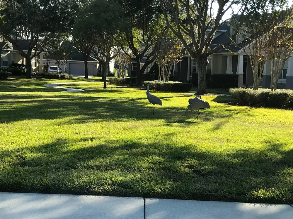6486 MERRICK LANDING BOULEVARD Windermere, FL 34786