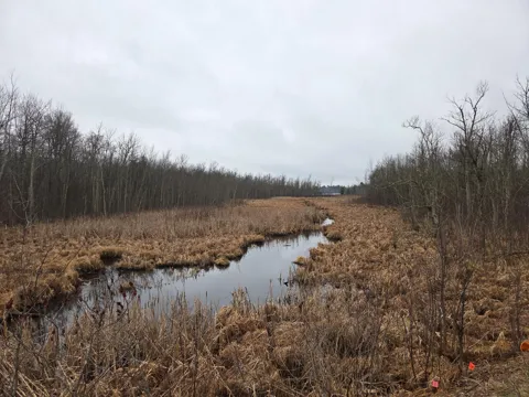 TBD County 11