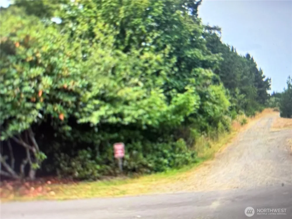 995 50th Lane Seaview, WA 98644