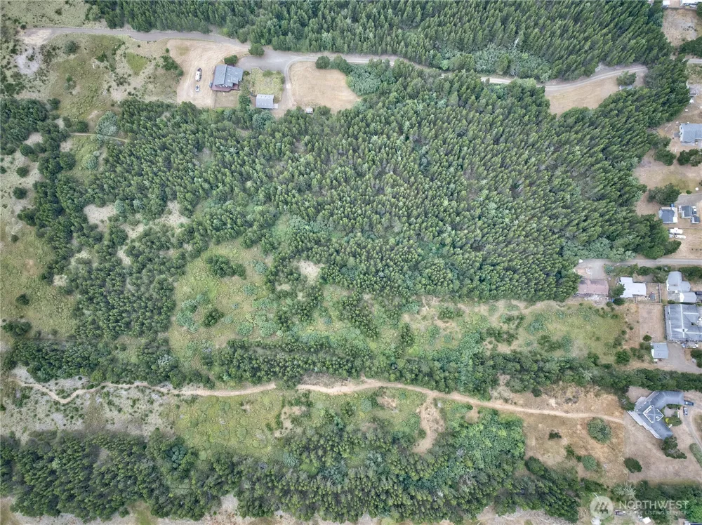 995 50th Lane Seaview, WA 98644
