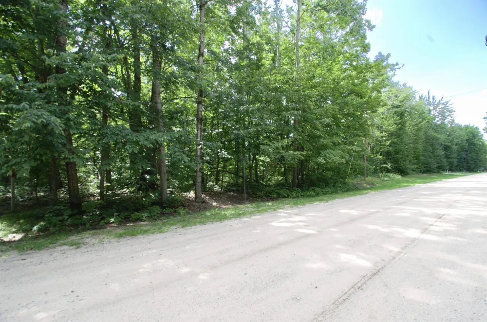 Valleyview Drive Mancelona Township, MI 49730