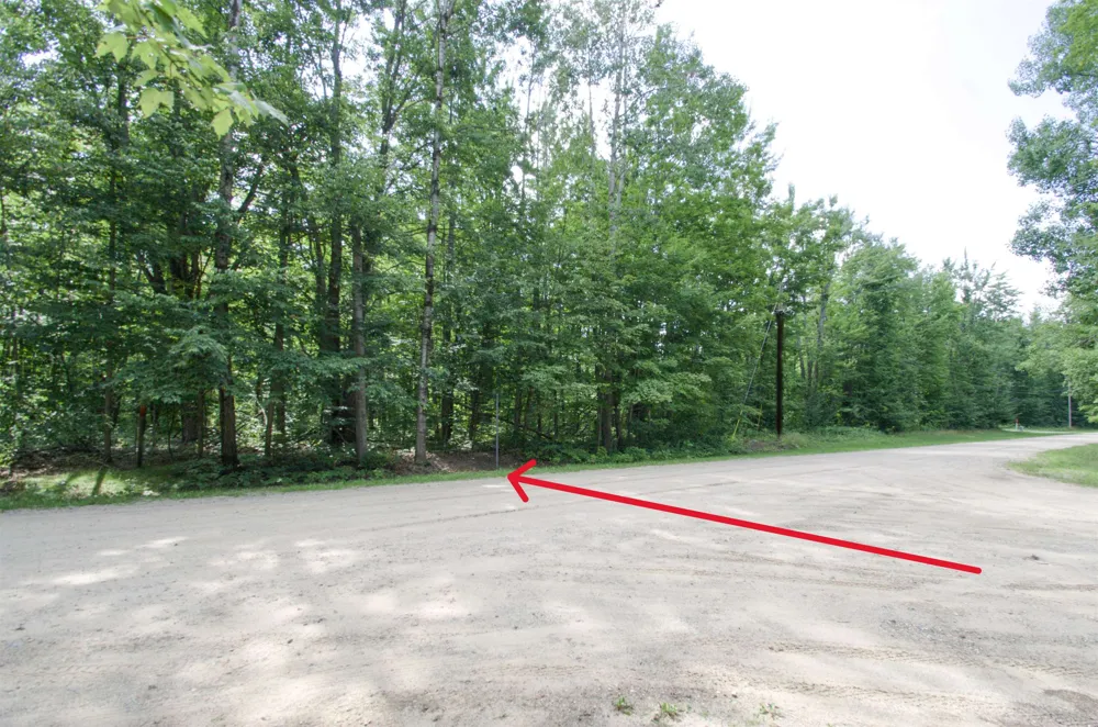 Valleyview Drive Mancelona Township, MI 49730