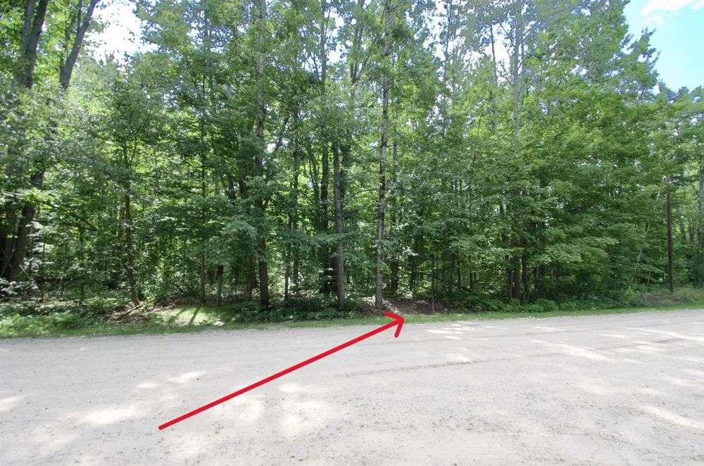 Valleyview Drive Mancelona Township, MI 49730