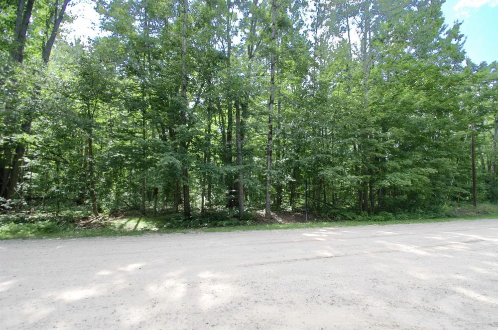 Valleyview Drive Mancelona Township, MI 49730