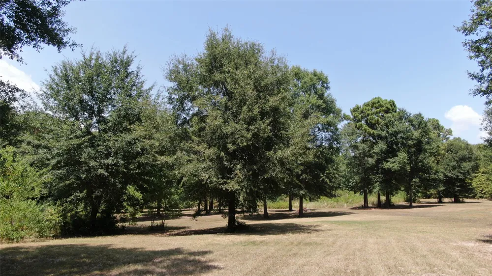 Big Eddy Road Chandler, TX 75758