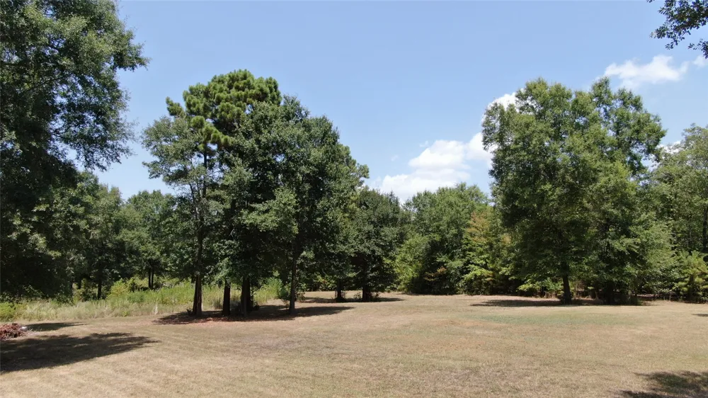 Big Eddy Road Chandler, TX 75758