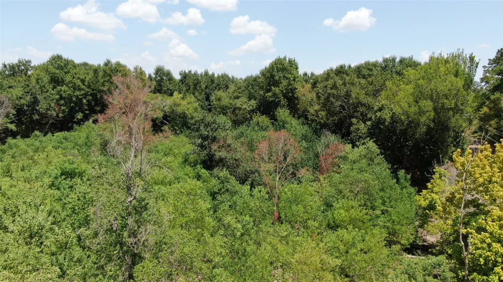 Big Eddy Road Chandler, TX 75758