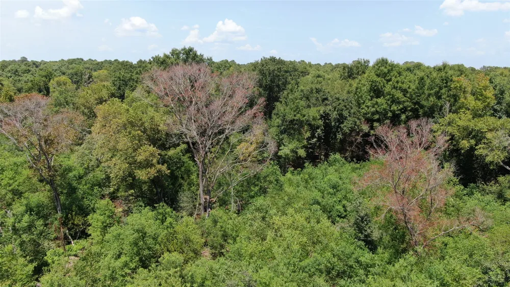 Big Eddy Road Chandler, TX 75758