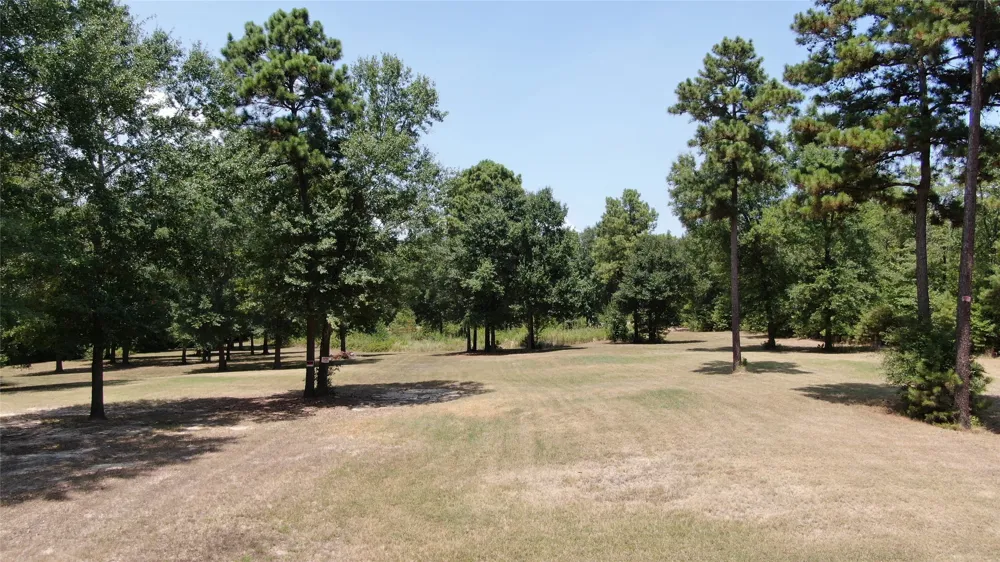 Big Eddy Road Chandler, TX 75758