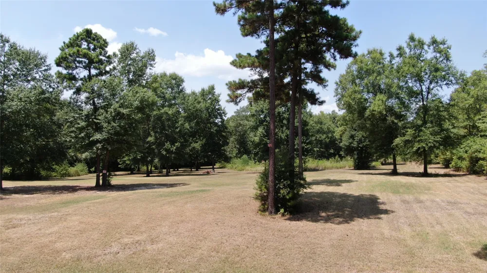 Big Eddy Road Chandler, TX 75758