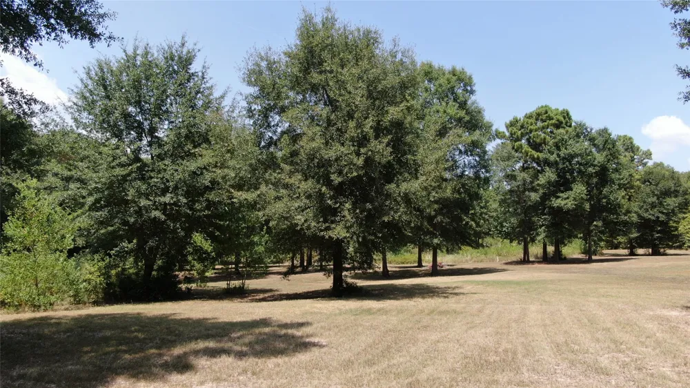 Big Eddy Road Chandler, TX 75758