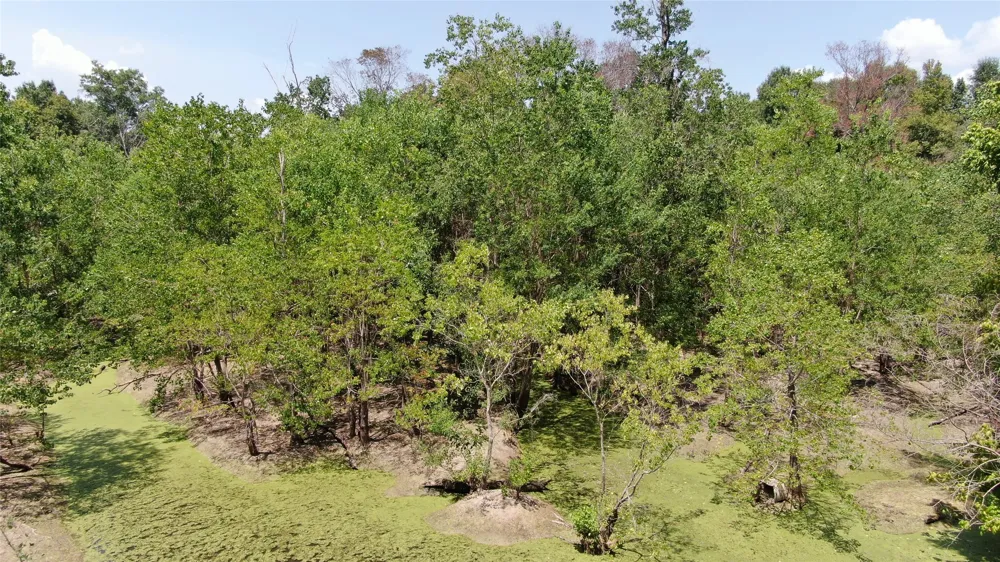 Big Eddy Road Chandler, TX 75758