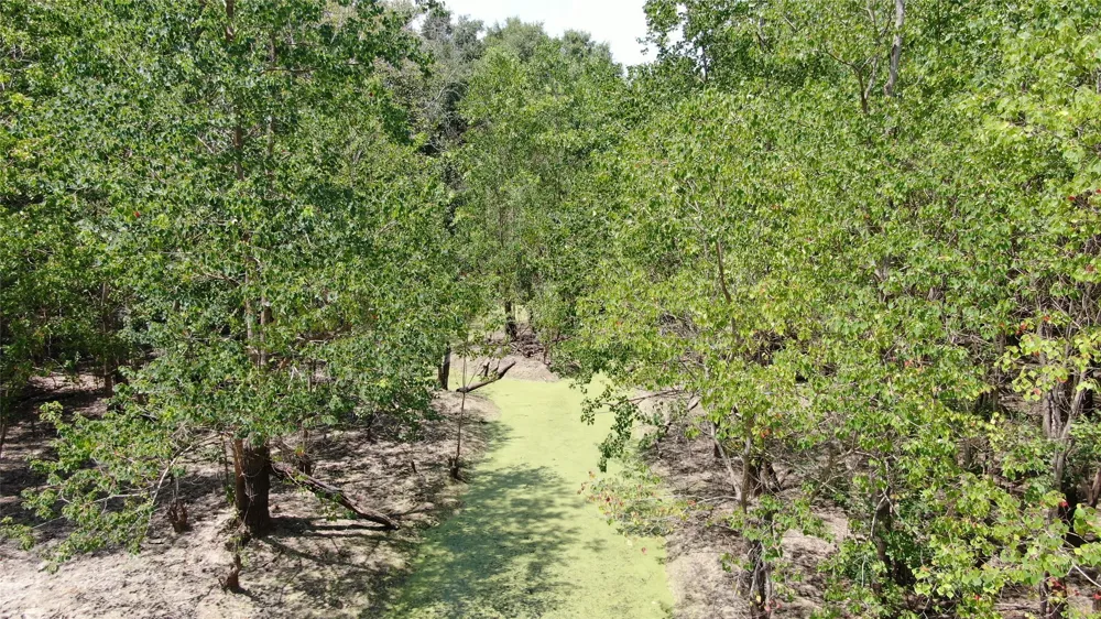 Big Eddy Road Chandler, TX 75758