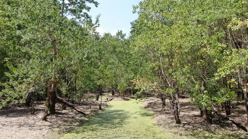 Big Eddy Road Chandler, TX 75758