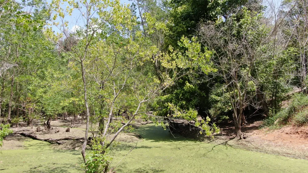 Big Eddy Road Chandler, TX 75758