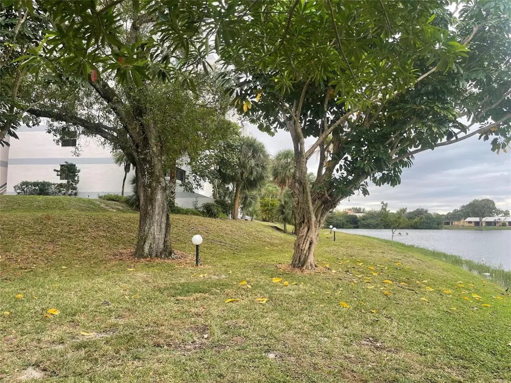 3301 SPANISH MOSS TERRACE #610 Lauderhill, FL 33319