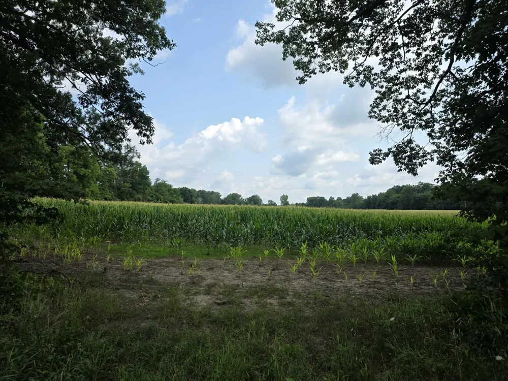 Q Drive South (parcel 1) Burlington, MI 49029